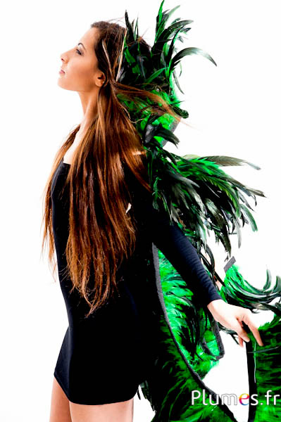 Hahnenfederkragen - Länge der Federn 20-25 cm - schwarz-grün